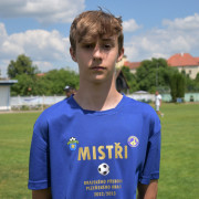 Luca Roman Zajíček, 2008