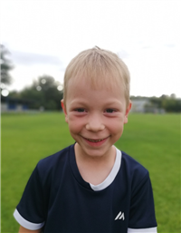 Roland Ströher, 2017