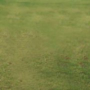 Leško Josef, nar. 1960